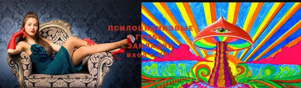 а пвп мука Горно-Алтайск